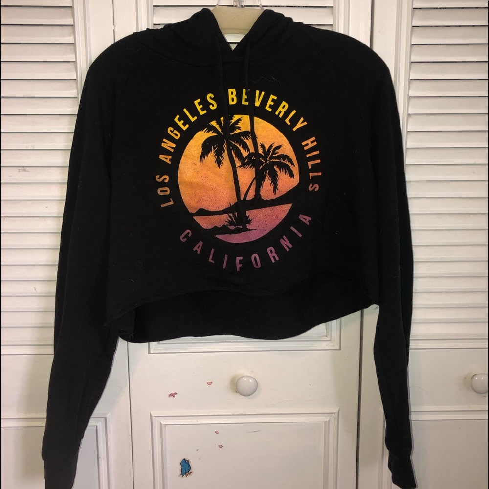 California Palm Trees a topped Hoodie
